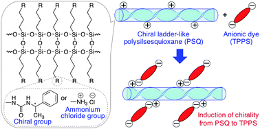 Graphical abstract: Preparation of chiral ladder-like polysilsesquioxanes and their chiral induction to anionic dye compound