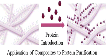 Graphical abstract: Aptamers-on-nanofiber as a novel hybrid capturing moiety