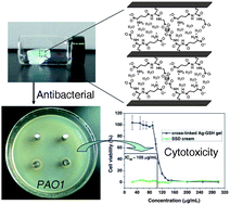 Graphical abstract: Silver(i)–glutathione biocoordination polymer hydrogel: effective antibacterial activity and improved cytocompatibility
