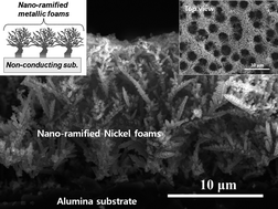 Graphical abstract: Nanostructured metallic foam electrodeposits on a nonconductive substrate