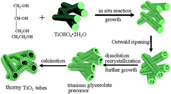 Graphical abstract: Controlled synthesis of thorny anatase TiO2 tubes for construction of Ag–AgBr/TiO2 composites as highly efficient simulated solar-light photocatalyst