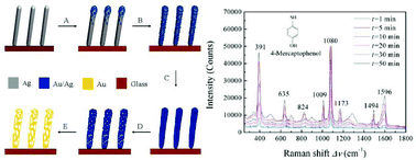 Graphical abstract: Gold-modified silver nanorod arrays: growth dynamics and improved SERS properties