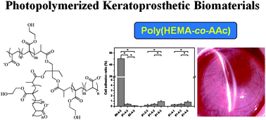 Graphical abstract: Synthesis, characterization and ocular biocompatibility of potential keratoprosthetic hydrogels based on photopolymerized poly(2-hydroxyethyl methacrylate)-co-poly(acrylic acid)