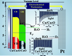 Graphical abstract: Highly stable copper oxide composite as an effective photocathode for water splitting via a facile electrochemical synthesis strategy