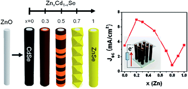 Graphical abstract: Polytypic ZnCdSe shell layer on a ZnO nanowire array for enhanced solar cell efficiency