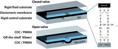 Graphical abstract: Chemically resistant microfluidic valves from Viton® membranes bonded to COC and PMMA