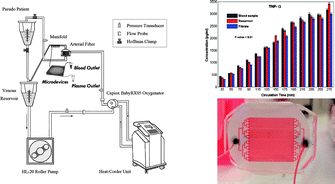 Graphical abstract: Microfiltration platform for continuous blood plasma protein extraction from whole blood during cardiac surgery