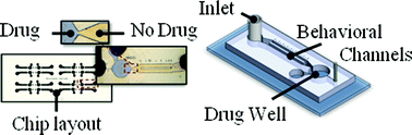 Graphical abstract: A microfluidic platform for high-sensitivity, real-time drug screening on C. elegans and parasitic nematodes