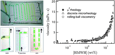 Graphical abstract: High-throughput rheology in a microfluidic device