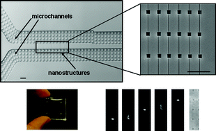 Graphical abstract: DNA manipulation with elastomeric nanostructures fabricated by soft-moulding of a FIB-patterned stamp