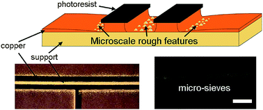 Graphical abstract: Integrated sieving microstructures on microchannels for biological cell trapping and droplet formation