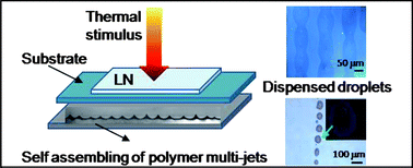 Graphical abstract: Self-assembling of multi-jets by pyro-electrohydrodynamic effect for high throughput liquid nanodrops transfer