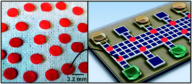 Graphical abstract: A digital microfluidic method for dried blood spot analysis