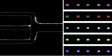 Graphical abstract: Rounded multi-level microchannels with orifices made in one exposure enable aqueous two-phase system droplet microfluidics