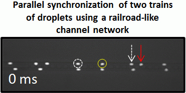 Graphical abstract: Parallel synchronization of two trains of droplets using a railroad-like channel network