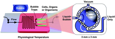 Graphical abstract: Bubbles no more: in-plane trapping and removal of bubbles in microfluidic devices