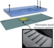 Graphical abstract: Microfluidic device to investigate factors affecting performance in biosensors designed for transdermal applications