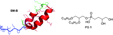 Graphical abstract: Synthesis and activity of a novel diether phosphonoglycerol in phospholipase-resistant synthetic lipid:peptide lung surfactants