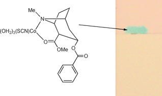 Graphical abstract: Cobalt thiocyanate reagent revisited for cocaine identification on TLC