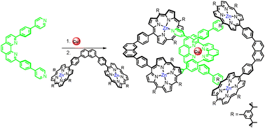 Graphical abstract: A noncovalently assembled porphyrinic catenane consisting of two interlocking [43]-membered rings