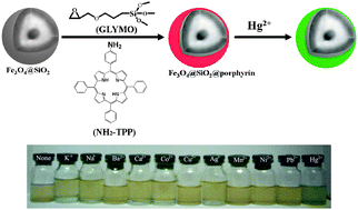 Graphical abstract: Porphyrin-functionalized Fe3O4@SiO2 core/shell magnetic colorimetric material for detection, adsorption and removal of Hg2+ in aqueous solution