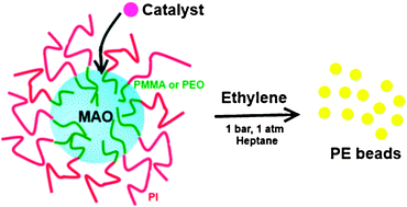 Graphical abstract: Polyisoprene-based block copolymers as supports for metallocene and post-metallocene catalytic systems toward ethylene polymerization