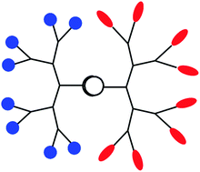 Graphical abstract: “Janus” dendrimers: syntheses and properties