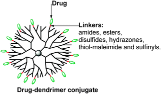 Graphical abstract: Dendrimer therapeutics: covalent and ionic attachments