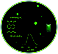 Graphical abstract: Green fluorescent organic nanoparticles by self-assembly induced enhanced emission of a naphthalene diimide bolaamphiphile