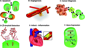 Graphical abstract: Engineered nanoparticles for biomolecular imaging