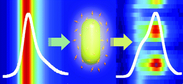 Graphical abstract: Plasmon-induced modulation of the emission spectra of the fluorescent molecules near gold nanorods