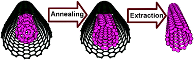 Graphical abstract: Preferential synthesis and isolation of (6,5) single-wall nanotubes from one-dimensional C60 coalescence
