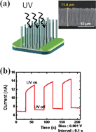 Graphical abstract: High-yield synthesis of ZnO nanowire arrays and their opto-electrical properties