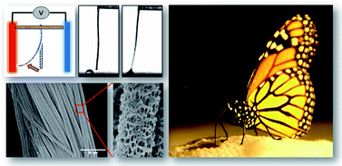 Graphical abstract: Nanoporous artificial proboscis for probing minute amount of liquids