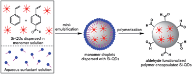 Graphical abstract: A miniemulsion polymerization technique for encapsulation of silicon quantum dots in polymer nanoparticles