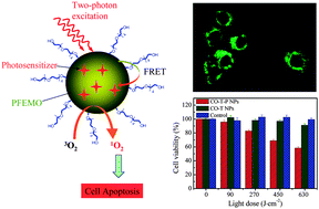 Graphical abstract: Photosensitizer-doped conjugated polymer nanoparticles for simultaneous two-photon imaging and two-photon photodynamic therapy in living cells