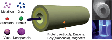 Graphical abstract: Protein-based nanotubes for biomedical applications