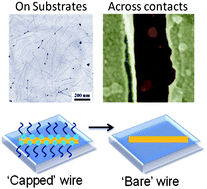 Graphical abstract: Pristine, adherent ultrathin gold nanowires on substrates and between pre-defined contacts via a wet chemical route