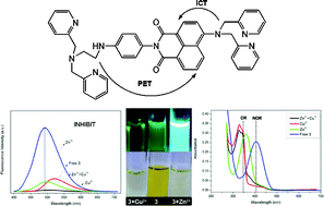 Graphical abstract: A naphthalimide fluorophore with efficient intramolecular PET and ICT Processes: Application in molecular logic