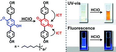 Graphical abstract: Naked-eye visible and fluorometric dual-signaling chemodosimeter for hypochlorous acid based on water-soluble p-methoxyphenol derivative