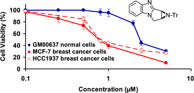Graphical abstract: First synthesis of an aziridinyl fused pyrrolo[1,2-a]benzimidazole and toxicity evaluation towards normal and breast cancer cell lines