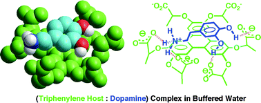 Graphical abstract: A simple ionic triphenylene receptor for catecholamines, serotonin and d-glucosamine in buffered water