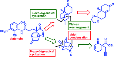 Graphical abstract: A radical cyclization approach to the formal total syntheses of platencin