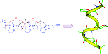 Graphical abstract: Design and synthesis of trans-3-aminopyran-2-carboxylic acid (APyC) and α/β-peptides with 9/11-helix