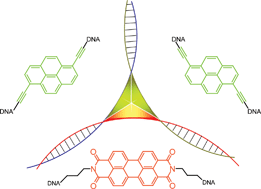 Graphical abstract: The DNA three-way junction as a mould for tripartite chromophore assembly