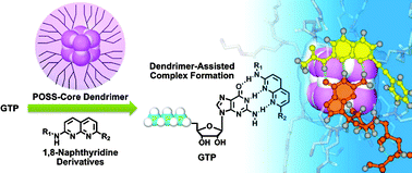 Graphical abstract: Enhancement of affinity in molecular recognition via hydrogen bonds by POSS-core dendrimer and its application for selective complex formation between guanosine triphosphate and 1,8-naphthyridine derivatives
