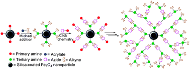 Graphical abstract: Clickable poly(ester amine) dendrimer-grafted Fe3O4 nanoparticles prepared via successive Michael addition and alkyne–azide click chemistry