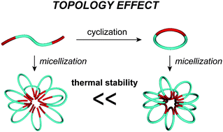 Graphical abstract: Topological polymer chemistry: a cyclic approach toward novel polymer properties and functions