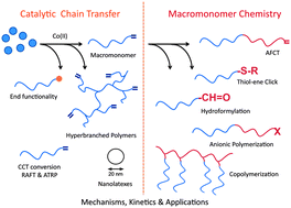 Graphical abstract: Catalytic chain transfer and its derived macromonomers