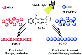 Graphical abstract: Thioxanthone-ethylcarbazole as a soluble visible light photoinitiator for free radical and free radical promoted cationic polymerizations